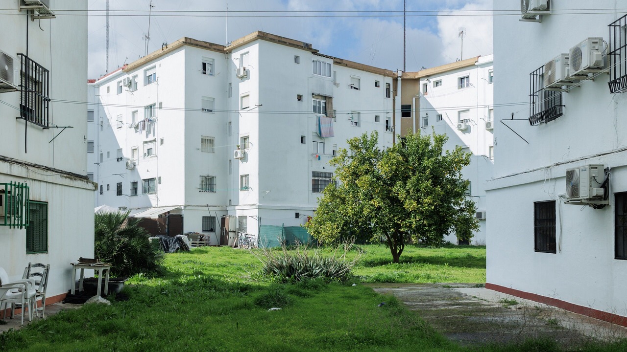 Photo of Outdoor in Leon XIII-Los Naranjos