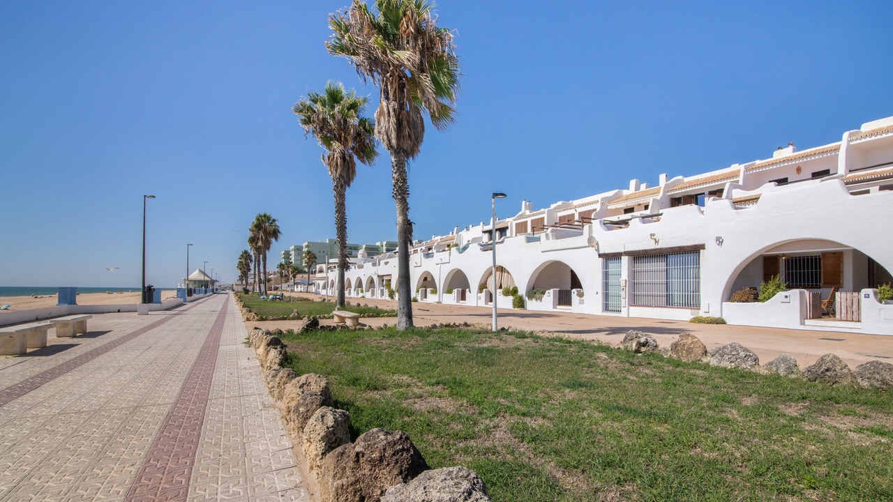 Photo of Outdoor in Sector P - Palmito
