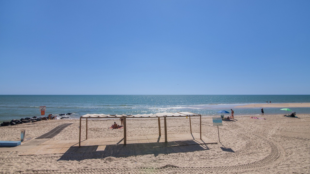 Photo of Others in Sector P - Palmito