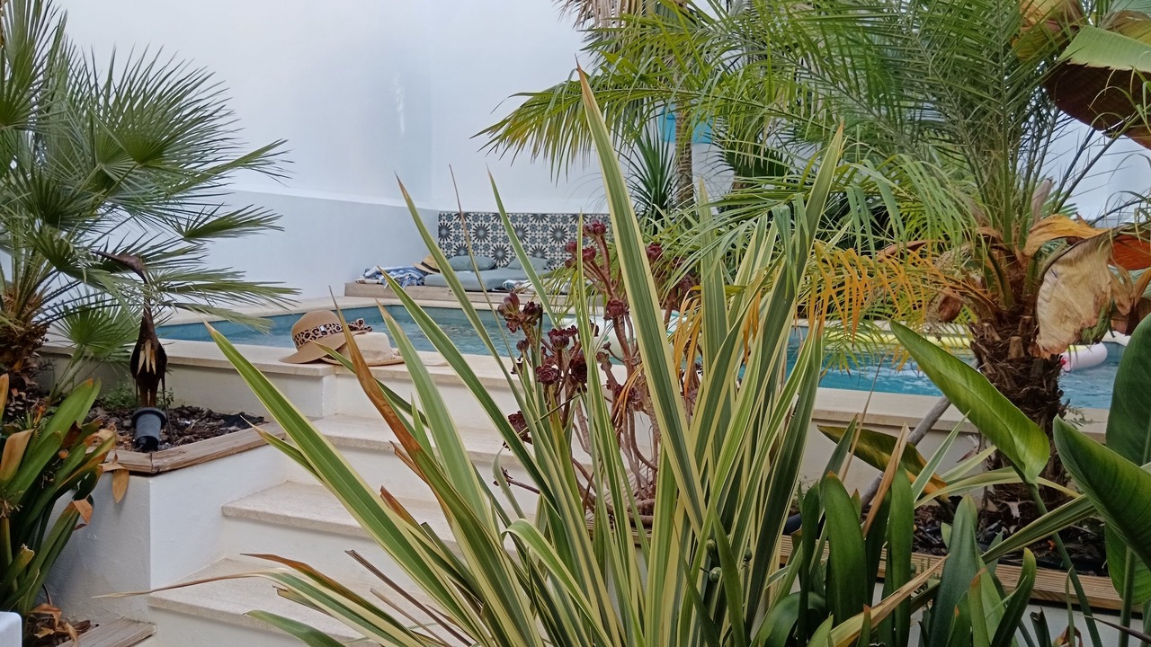 Photo of Outdoor in Bornos