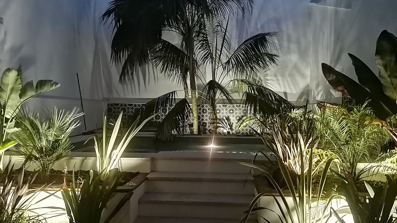 Photo of Outdoor in Bornos