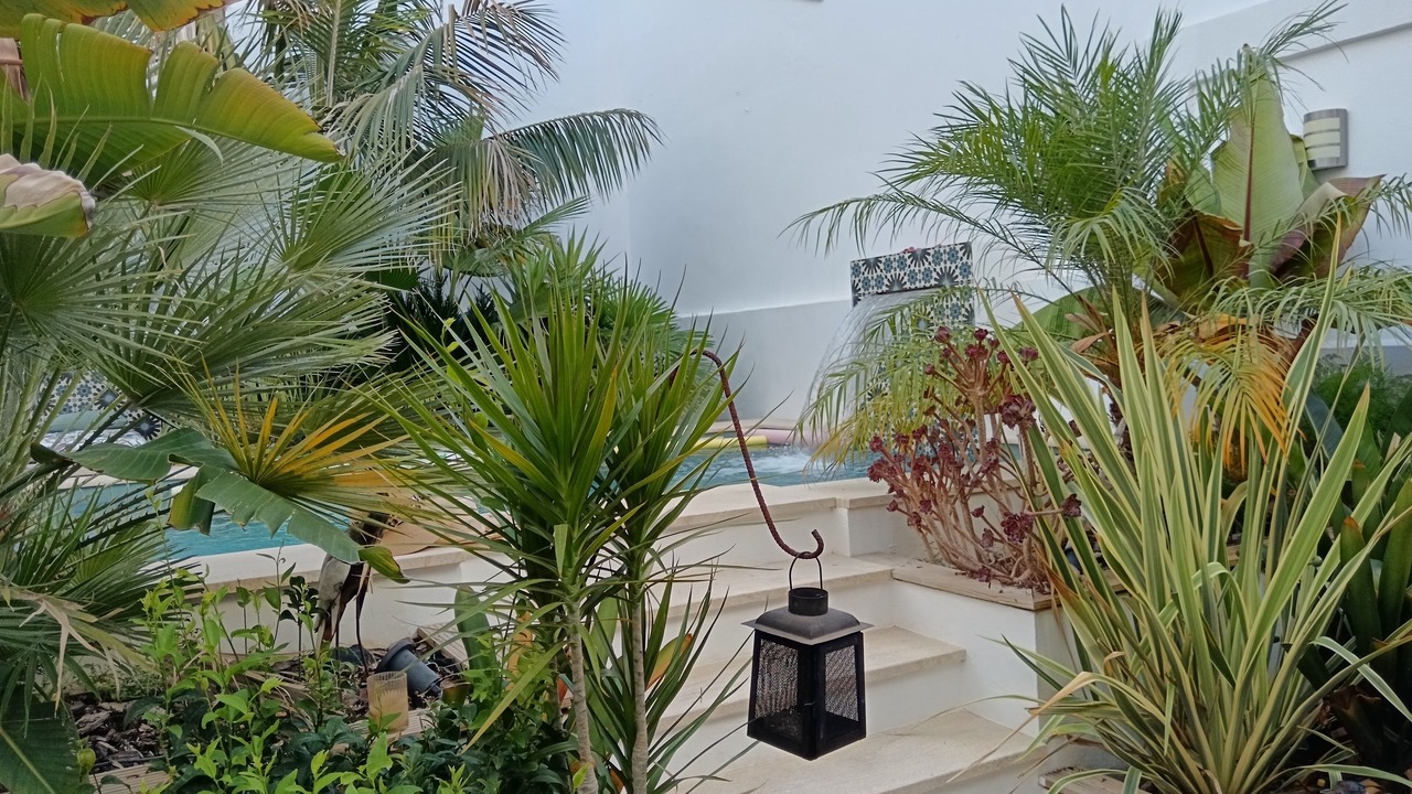 Photo of Outdoor in Bornos