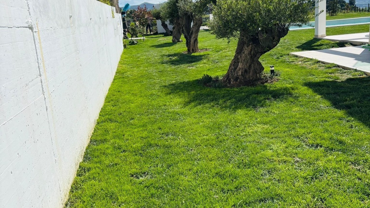 Photo of Outdoor in Colmenar