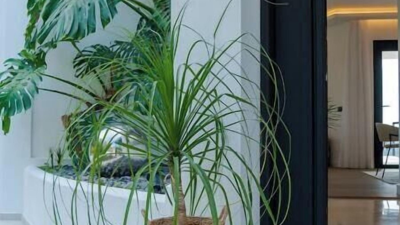 Photo of Outdoor in Priego de Cordoba