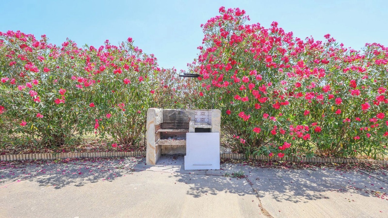 Photo of Outdoor in San Bartolome de la Torre