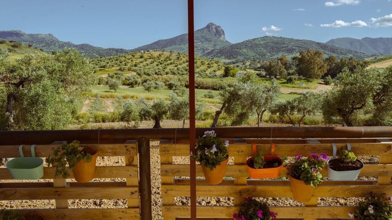 Photo of Outdoor in Algodonales