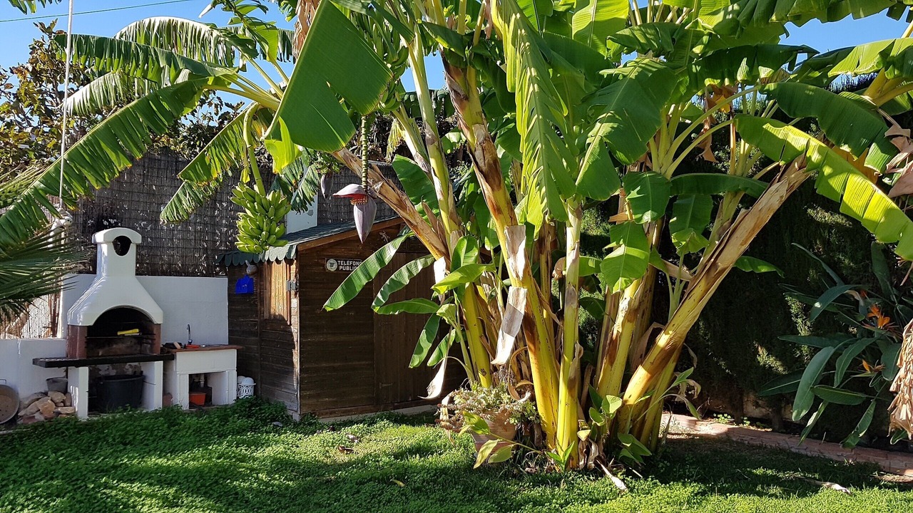 Photo of Outdoor in Benajarafe