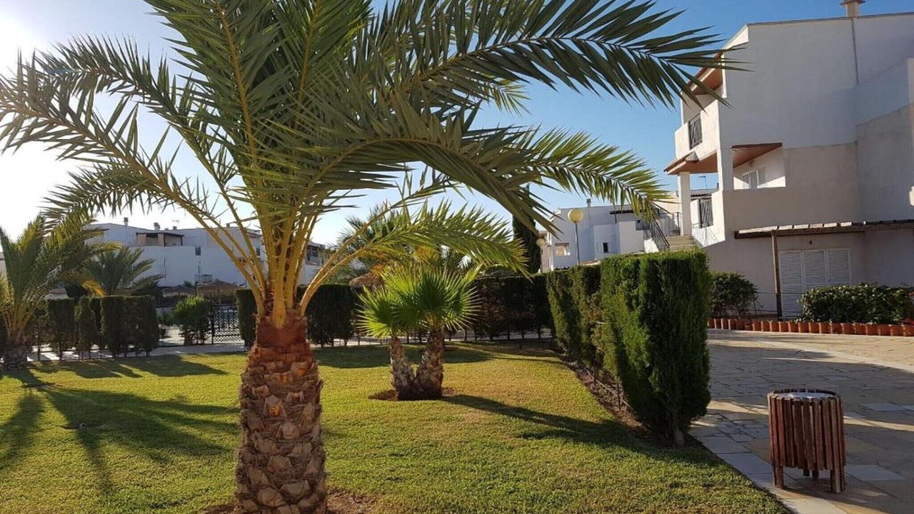 Photo of Outdoor in Vera Beach