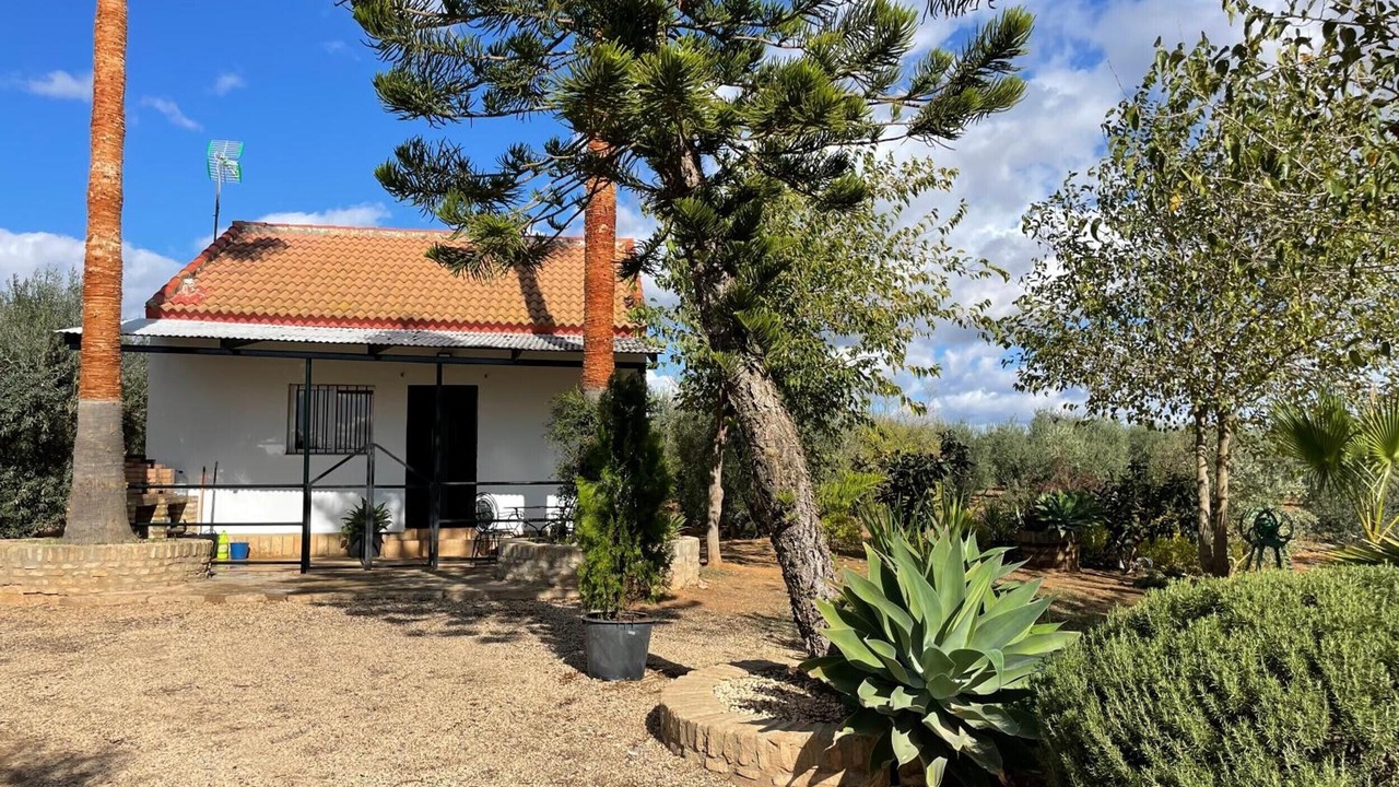 Photo of Outdoor in Bollullos de la Mitacion