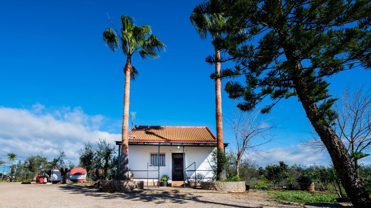 Photo of Outdoor in Bollullos de la Mitacion