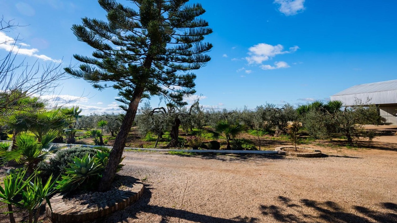Photo of Outdoor in Bollullos de la Mitacion