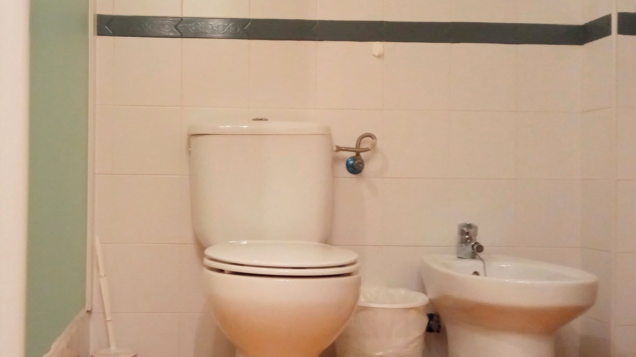 Photo of Bathroom in Pradollano