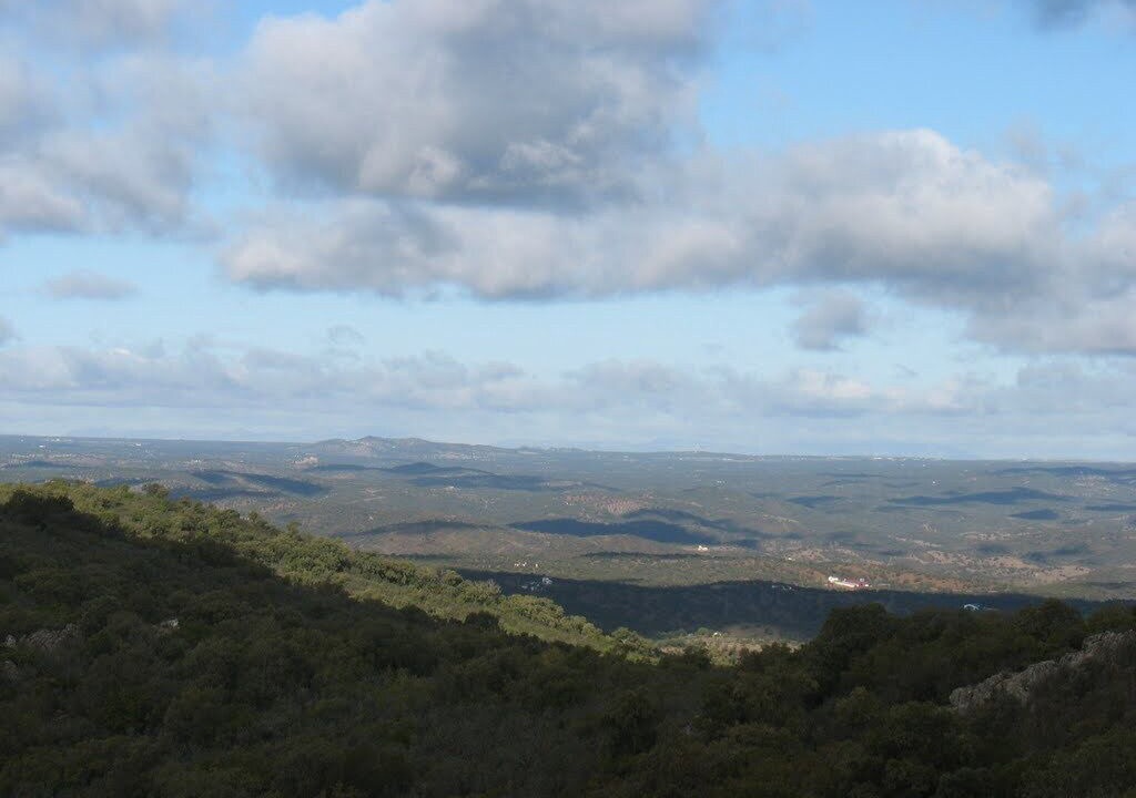 Photo of Others in Pozoblanco