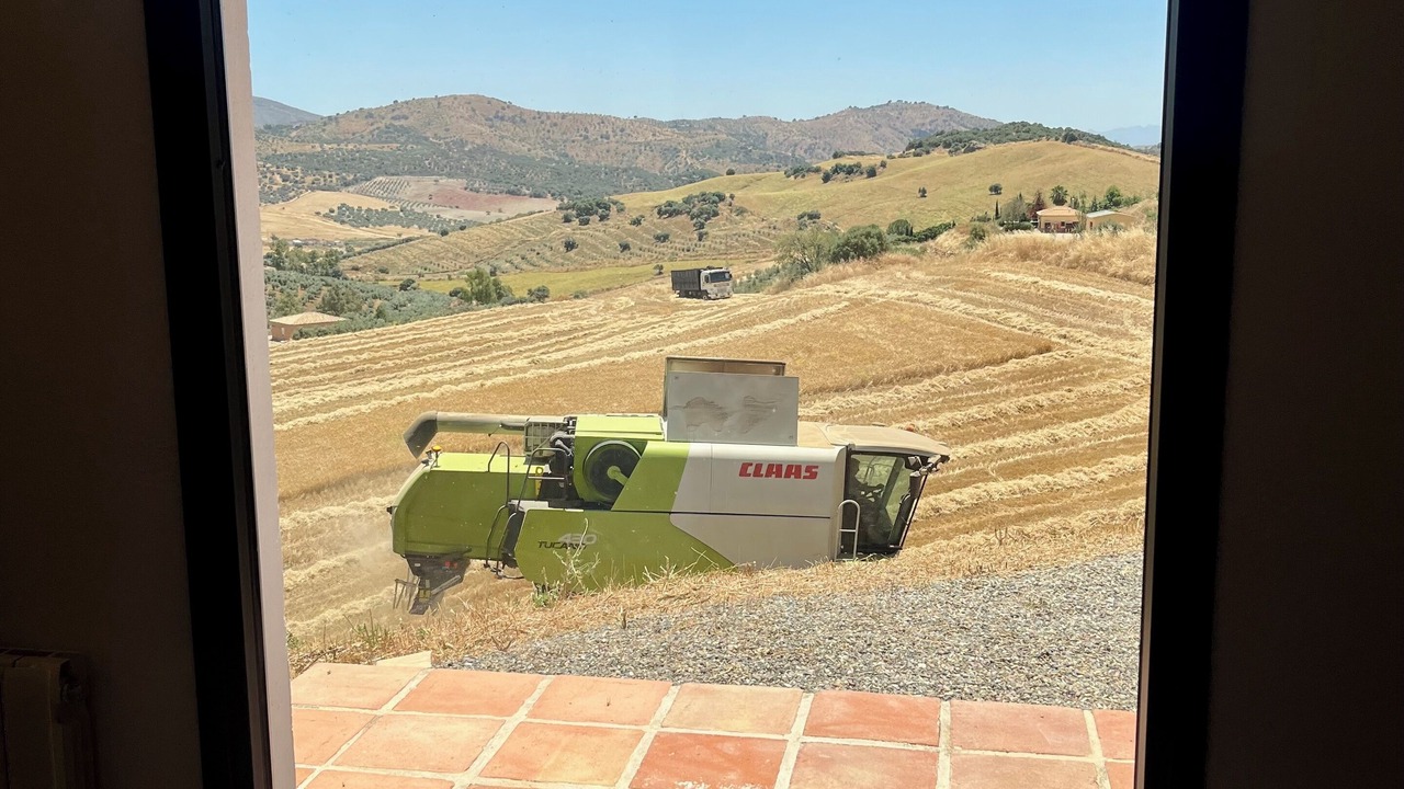 Photo of Others in Antequera