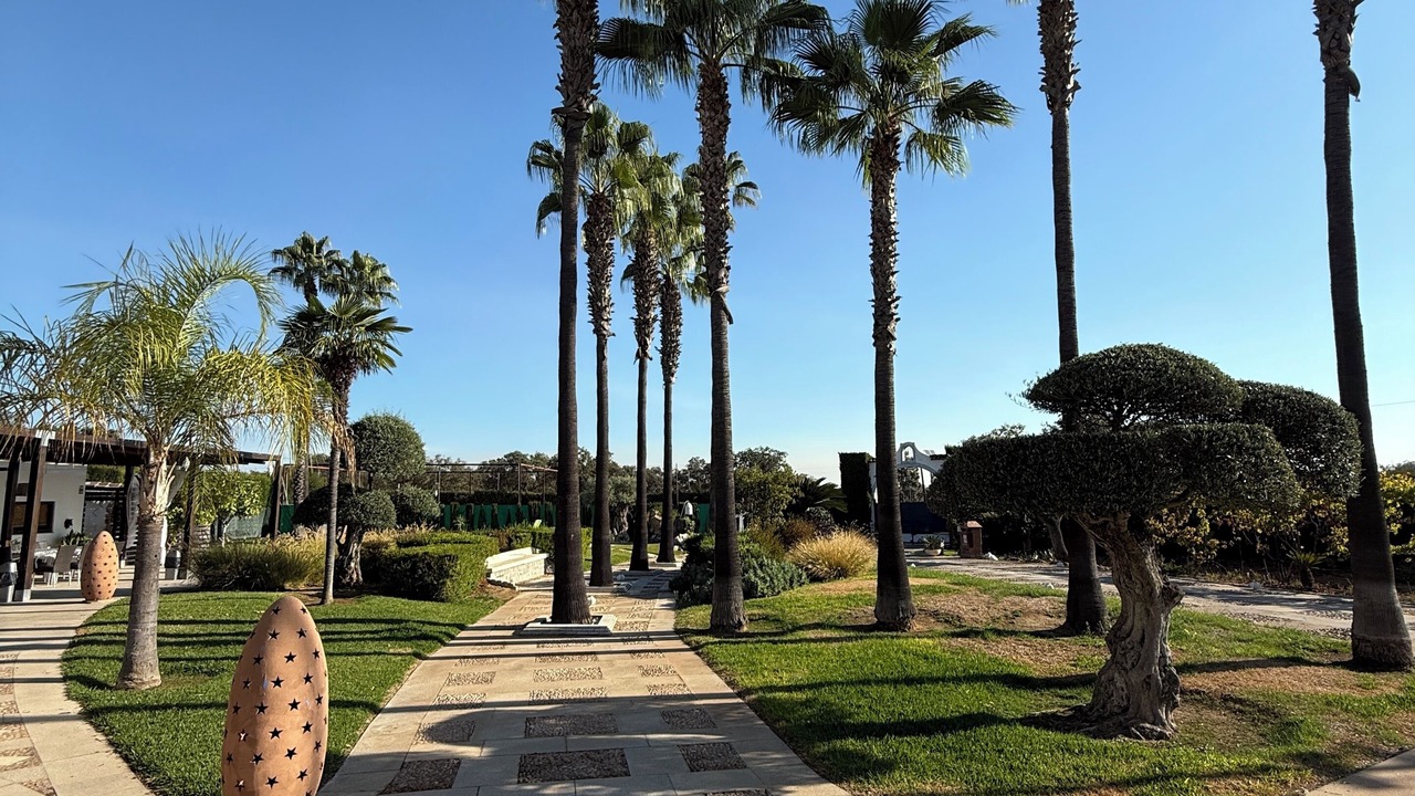 Photo of Outdoor in Badajoz