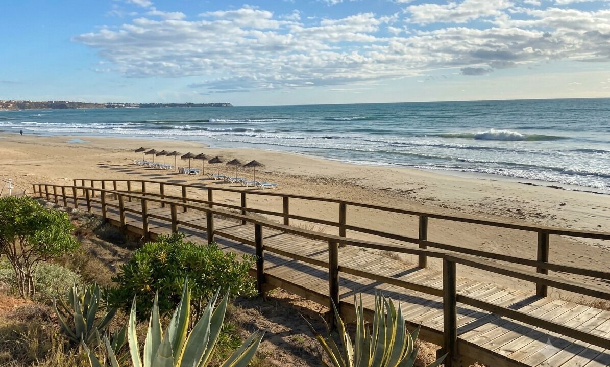 Photo of Others in Mil Palmeras