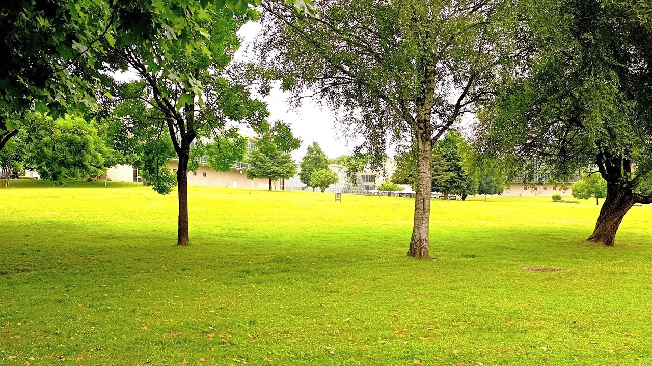 Photo of Outdoor in Lugo