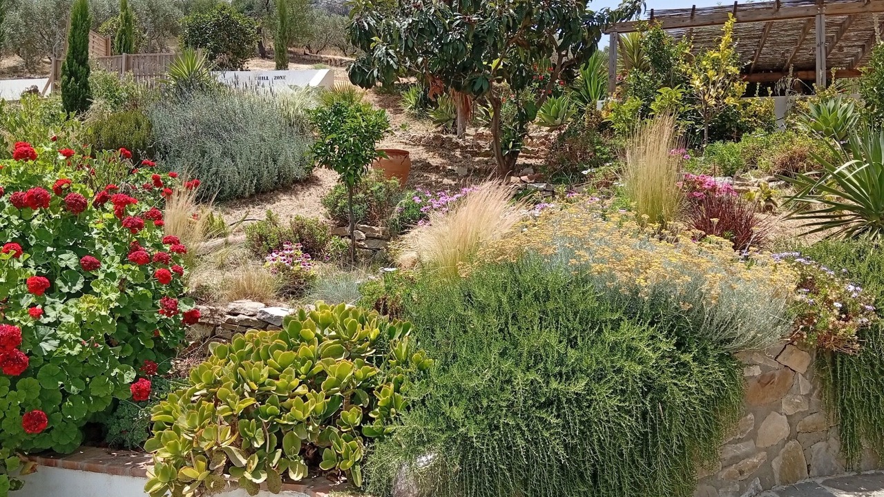 Photo of Outdoor in Valle de Abdalagis
