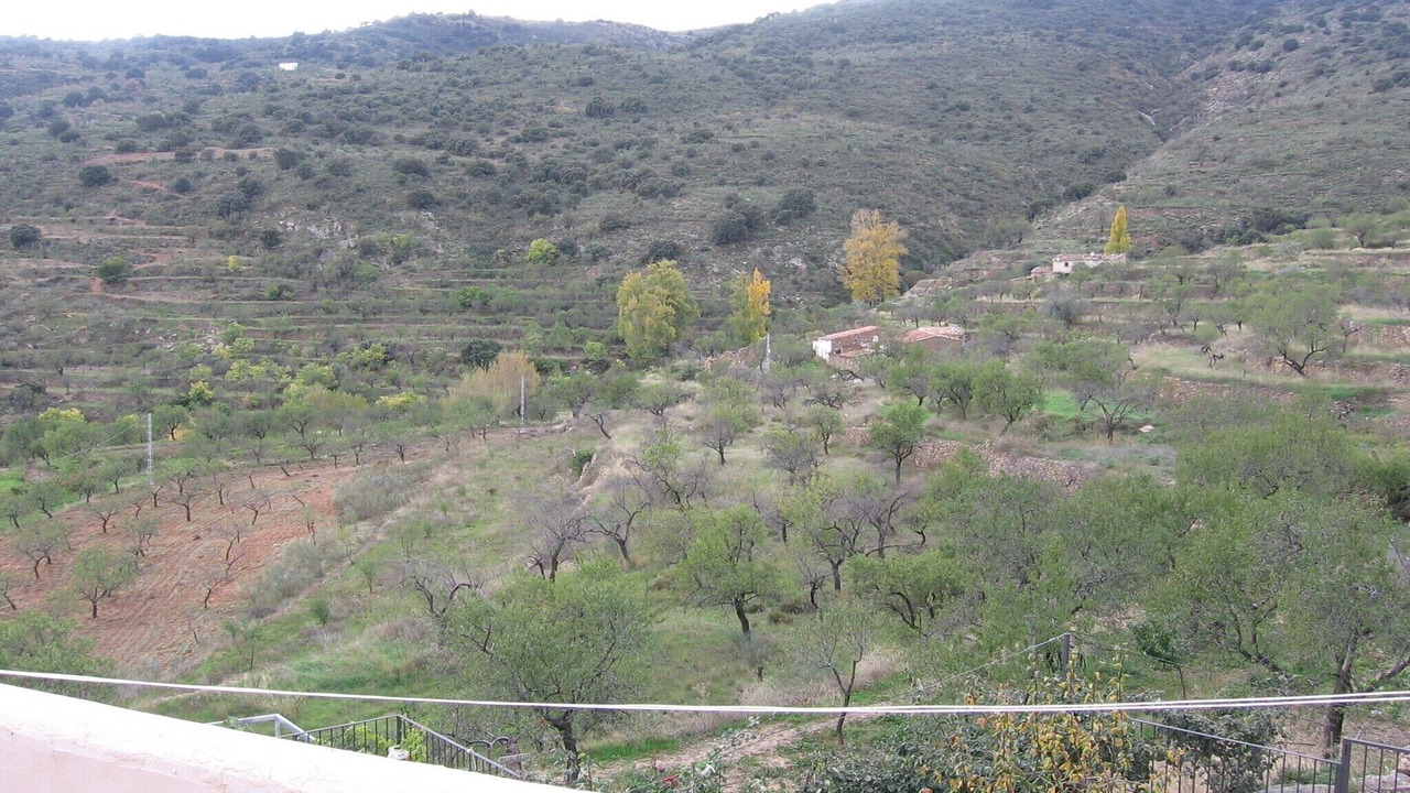 Photo of Others in Laroya