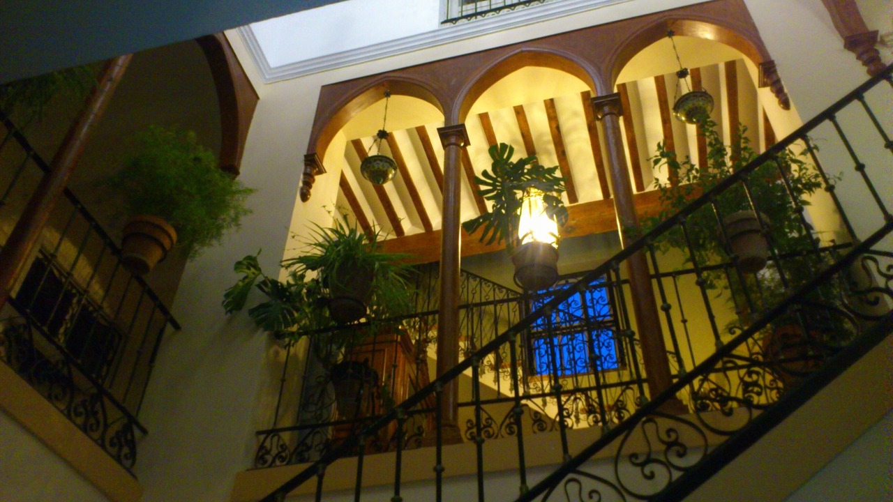 Photo of Outdoor in La Alfoquia