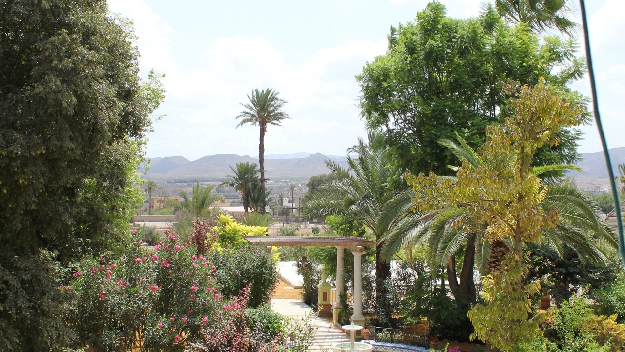 Photo of Outdoor in La Alfoquia