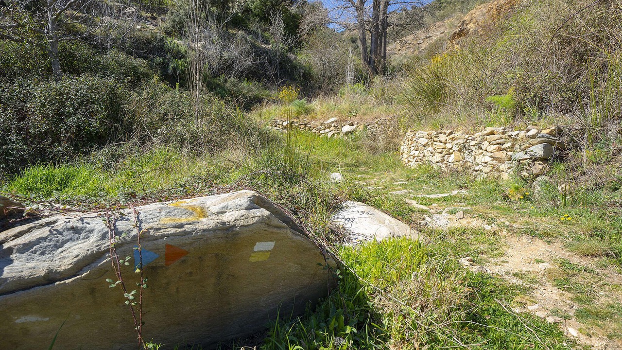 Photo of Others in Laroya