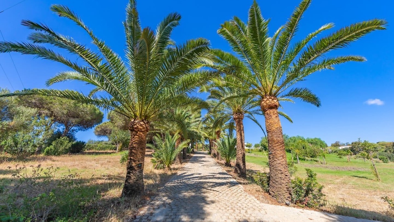 Photo of Others in Bolonia