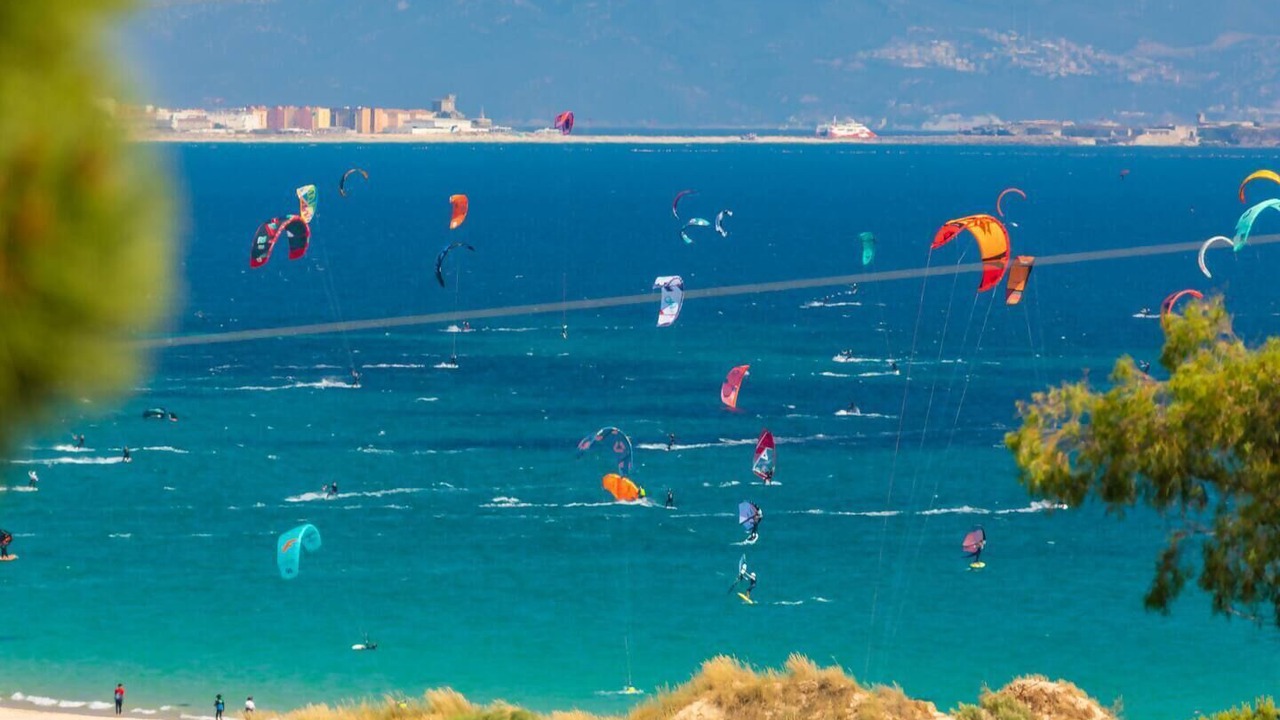 Photo of Others in Bolonia