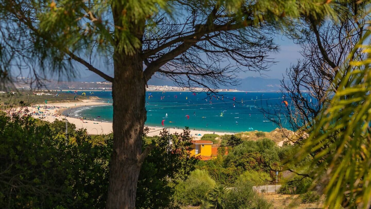 Photo of Others in Bolonia