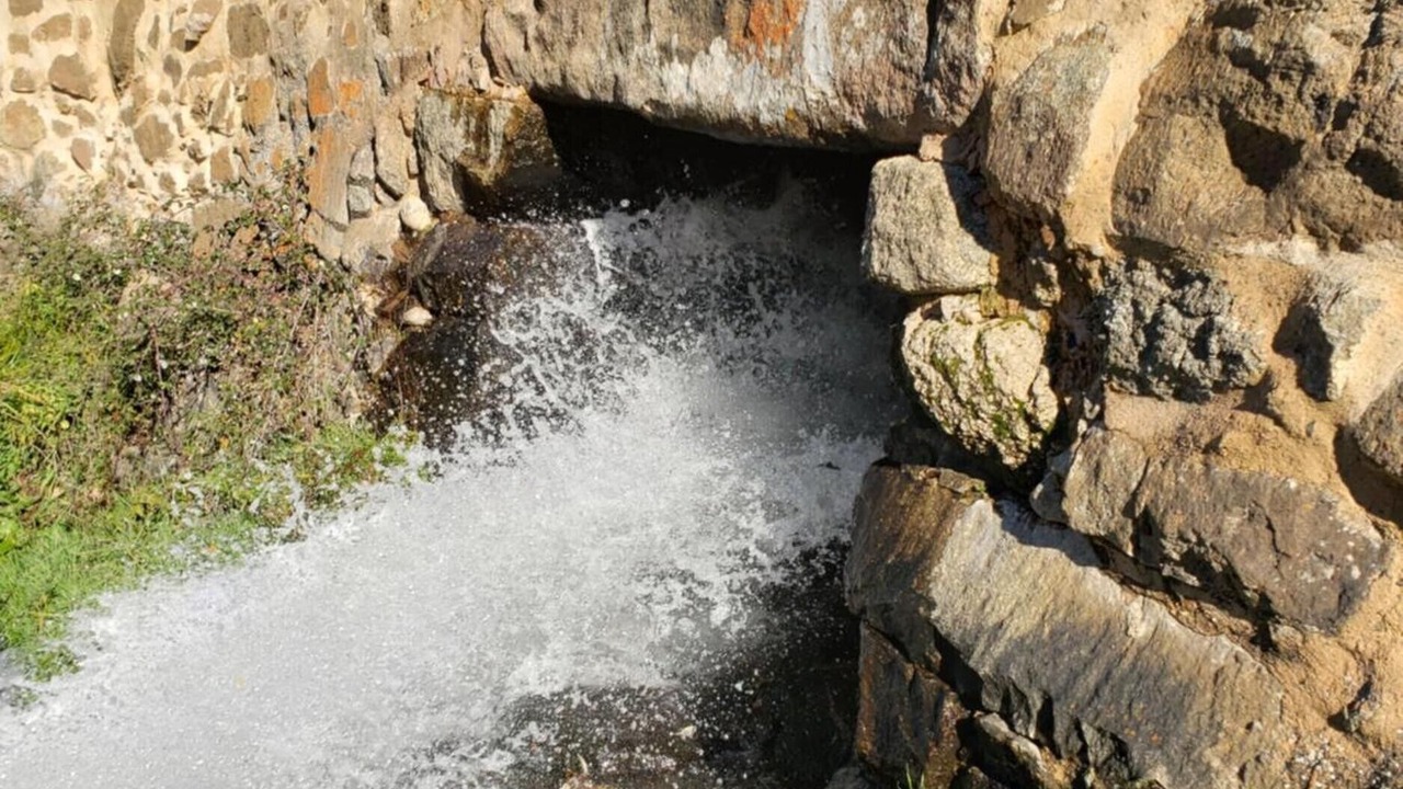 Photo of Others in Navacepedilla de Corneja