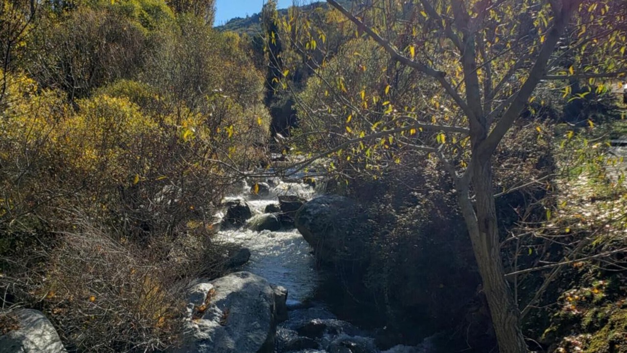 Photo of Others in Navacepedilla de Corneja