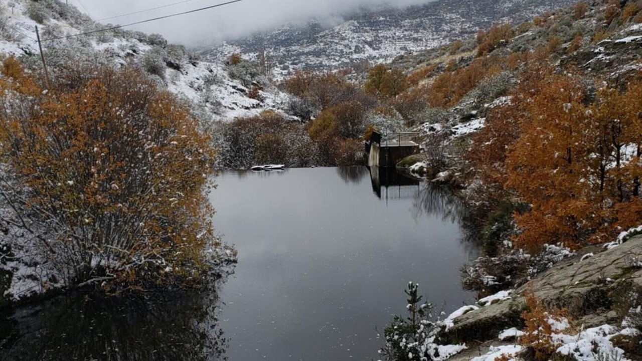 Photo of Others in Navacepedilla de Corneja