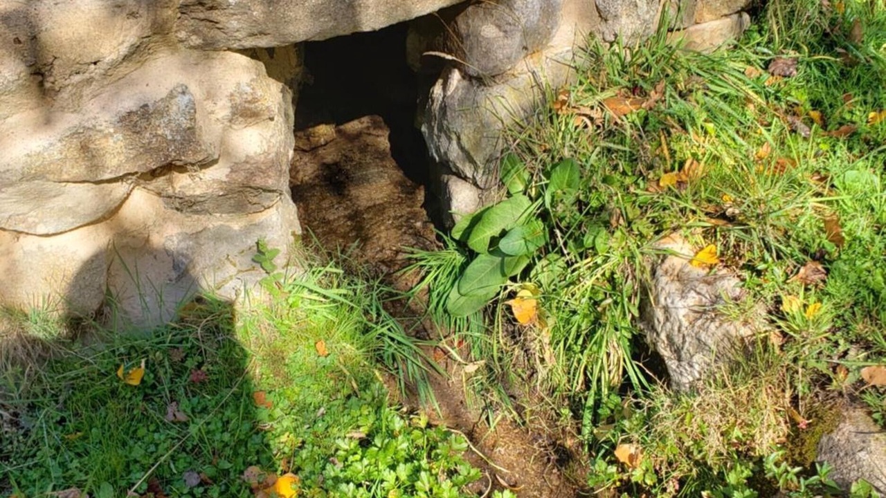 Photo of Others in Navacepedilla de Corneja