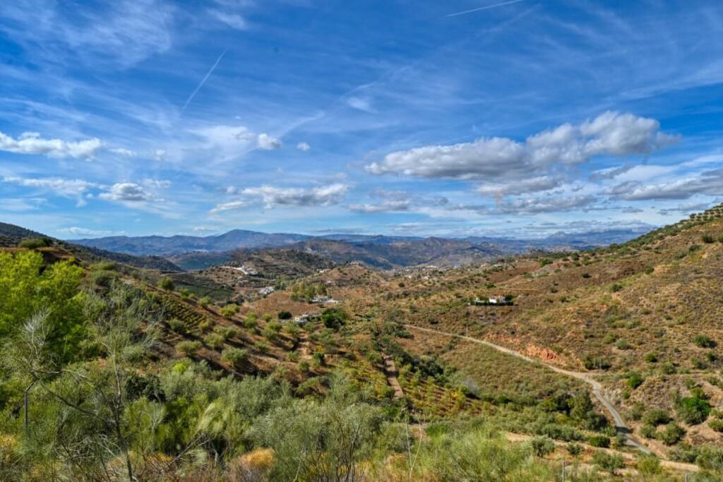 Photo of Others in Canillas de Aceituno