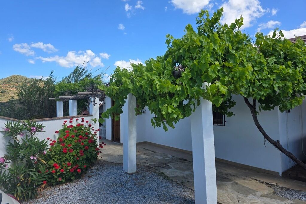 Photo of Outdoor in Canillas de Aceituno