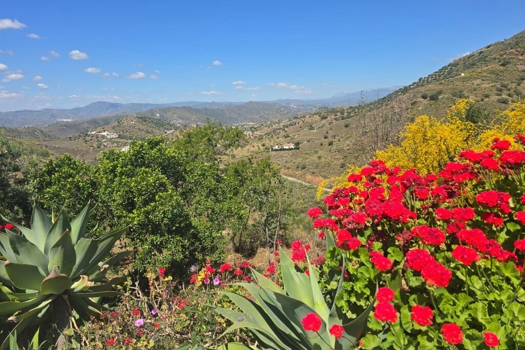 Photo of Outdoor in Canillas de Aceituno