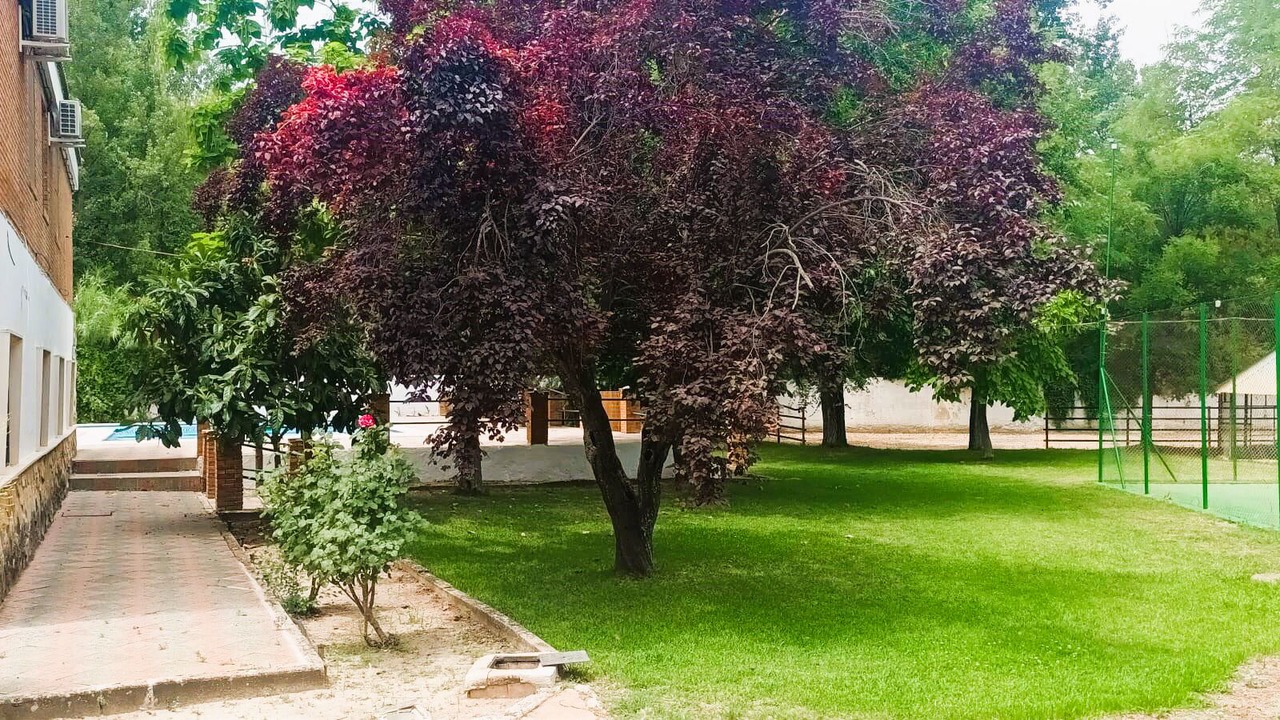 Photo of Outdoor in Priego de Cordoba