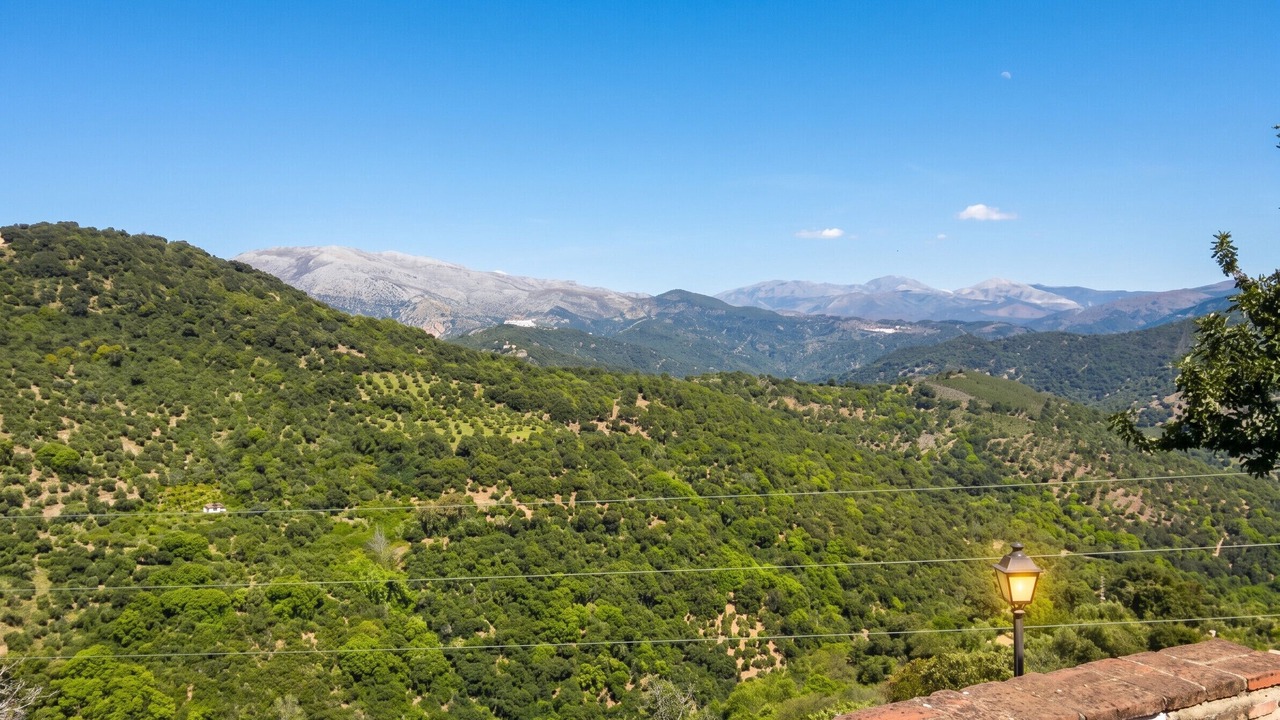 Photo of Others in Benalauria