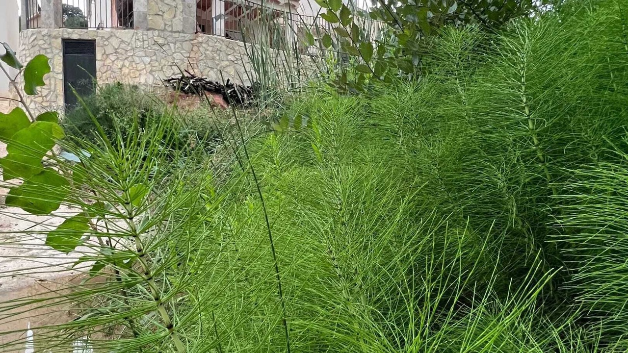 Photo of Outdoor in Rute