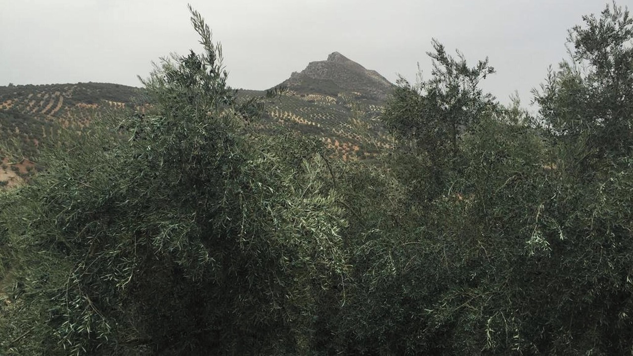 Photo of Others in Rute