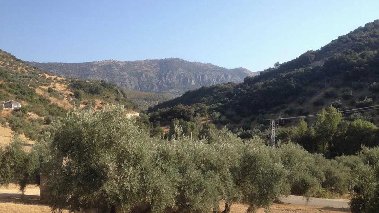 Photo of Others in Rute