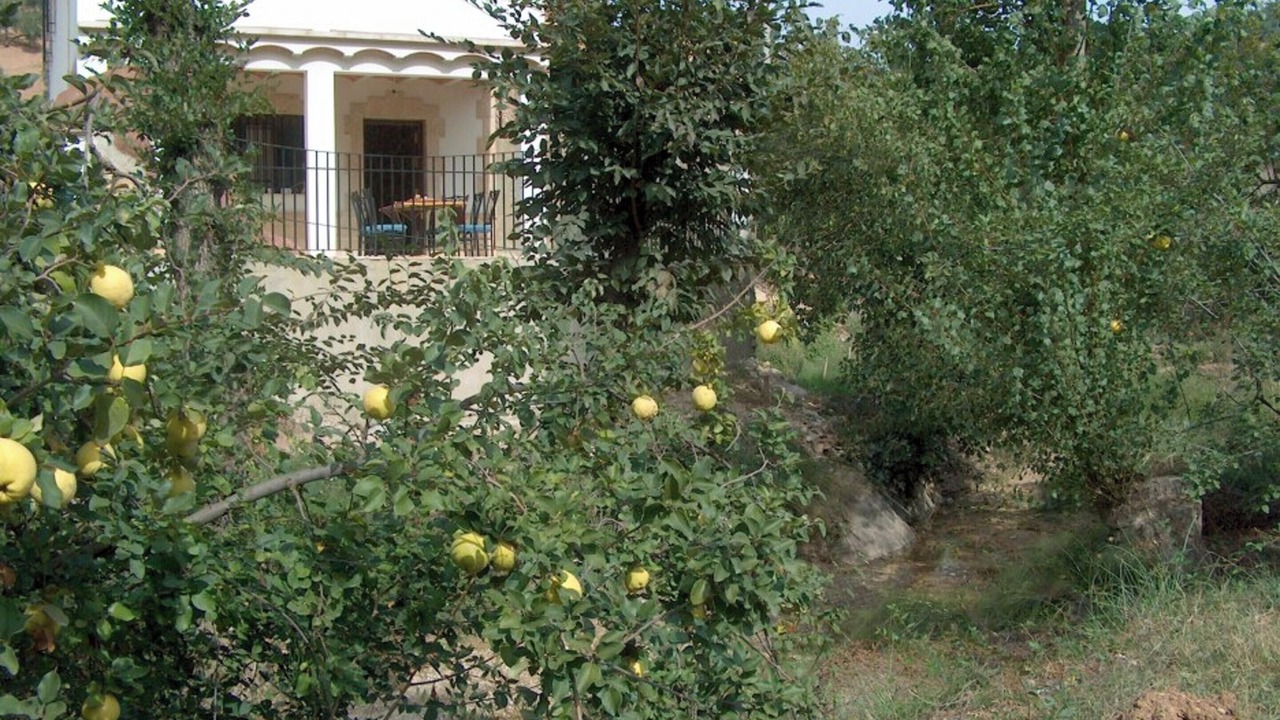 Photo of Outdoor in Rute