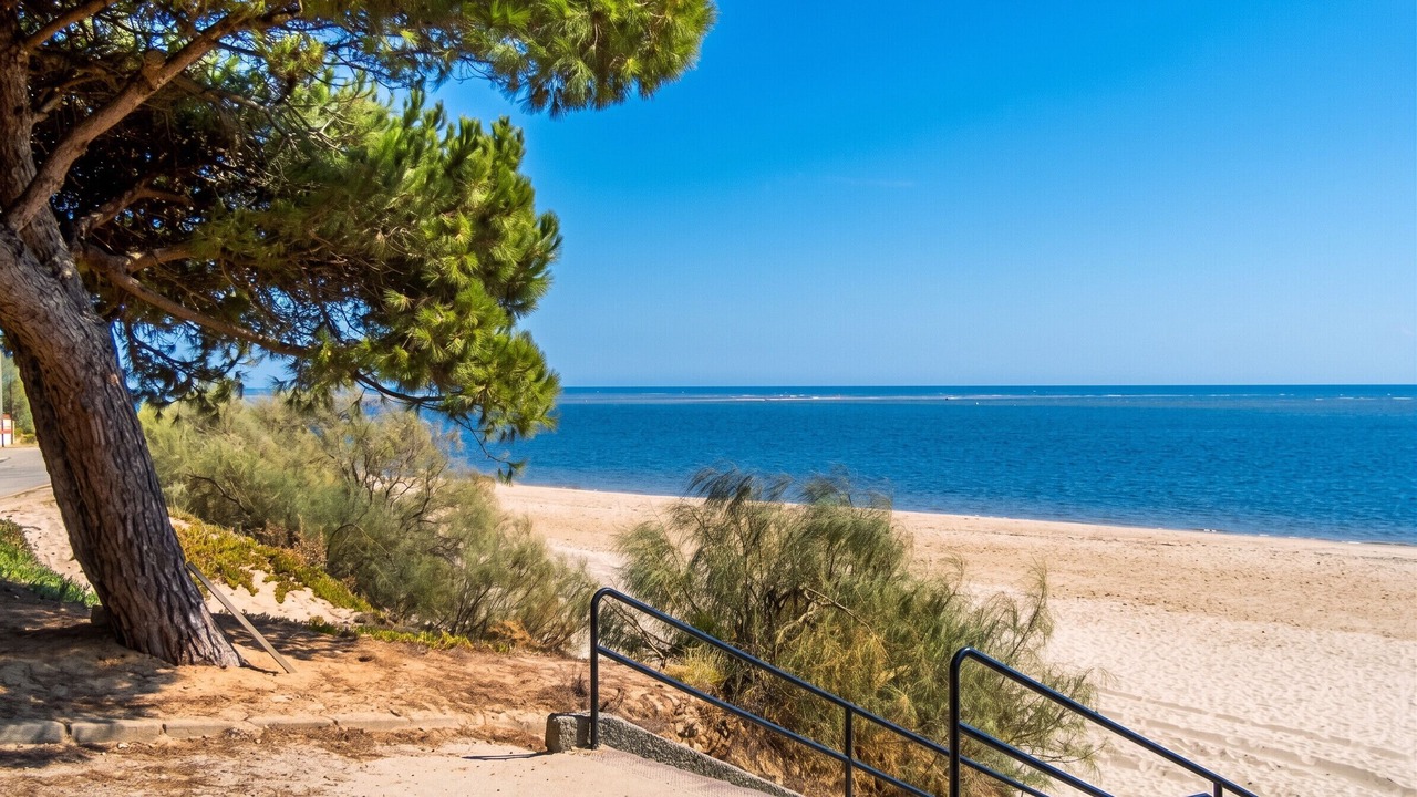 Photo of Others in Nuevo Portil