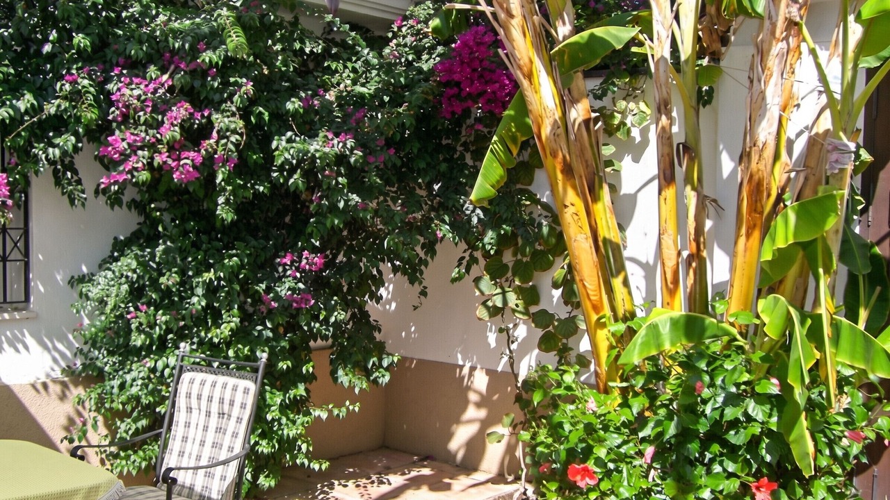 Photo of Outdoor in Nuevo Portil