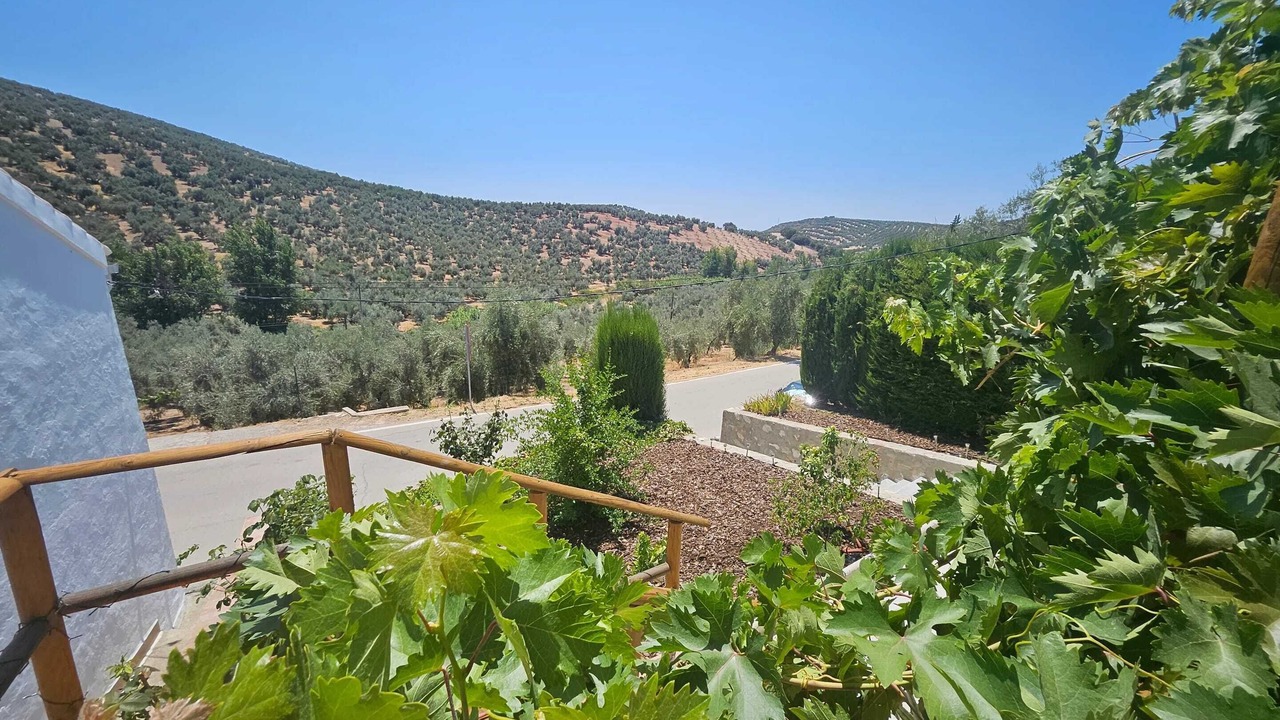 Photo of Others in Villanueva de Algaidas