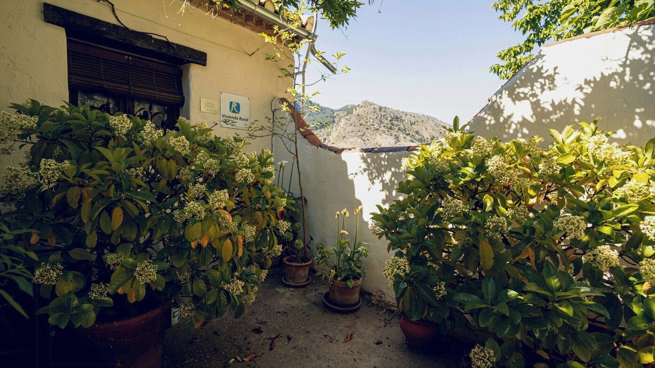 Photo of Outdoor in Guejar Sierra