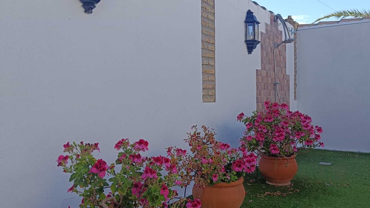 Photo of Outdoor in Los Gallos-Cerromolino