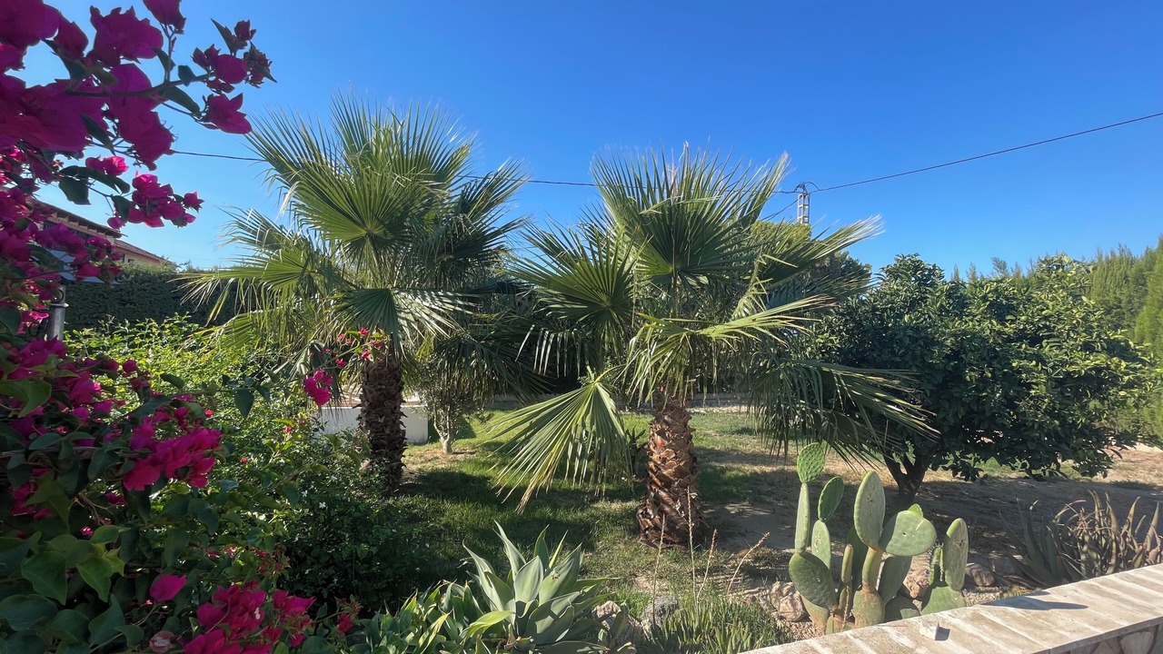 Photo of Outdoor in Aguilas