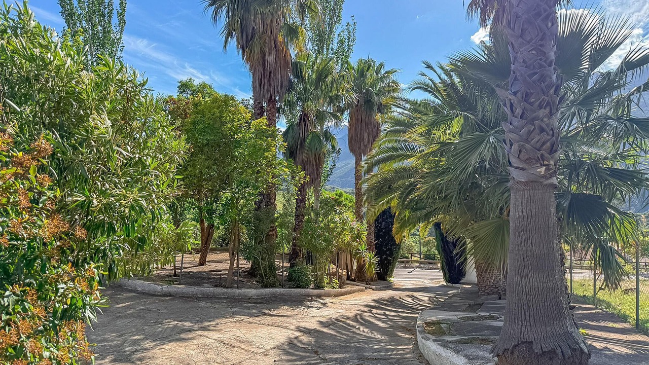 Photo of Others in Jimera de Libar