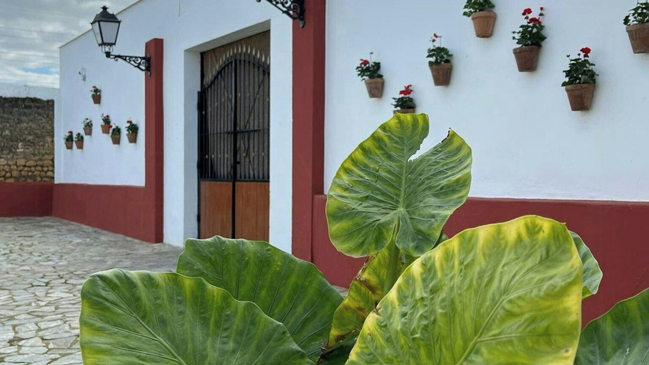 Photo of Outdoor in Utrera